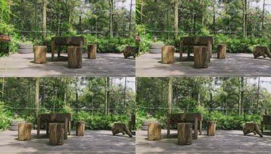 公园空地木桌子和木凳子高清在线视频素材下载