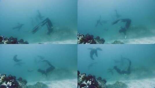 水下嬉戏的潜水员高清在线视频素材下载