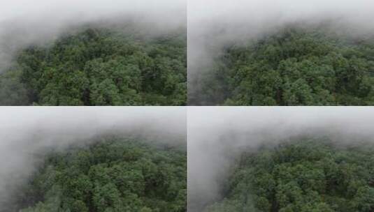 山里云雾航拍高清在线视频素材下载