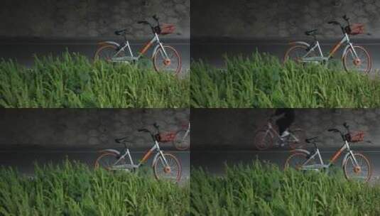 共享自行车摩拜出行高清在线视频素材下载