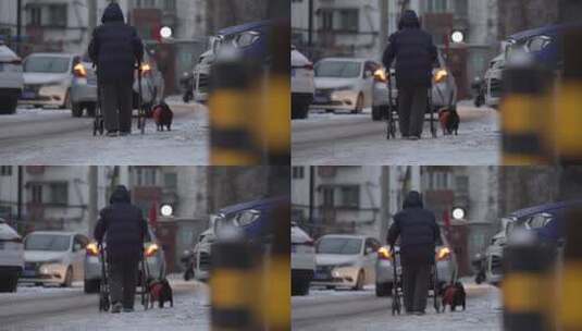 冬天下雪后老人和狗的孤独背影高清在线视频素材下载