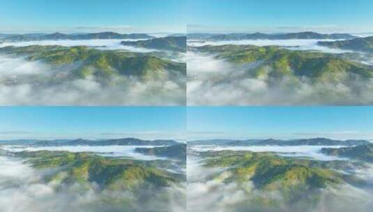 云雾中的茶山高清在线视频素材下载