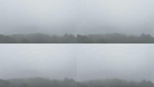 雾天树木树枝阴天树林雨天森林山间云雾缭绕高清在线视频素材下载