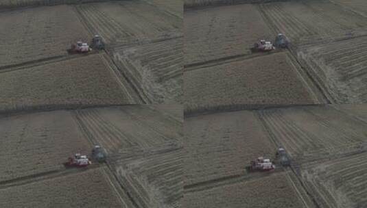 黑土地 秋收 收割玉米 收割 收货 东北粮食高清在线视频素材下载