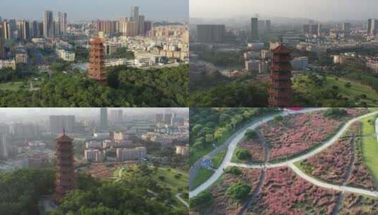 深圳红花山公园航拍高清在线视频素材下载