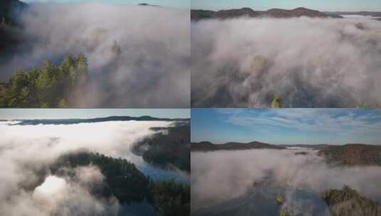 自然风光 云雾森林绿色湖泊雾气浓雾平流云高清在线视频素材下载