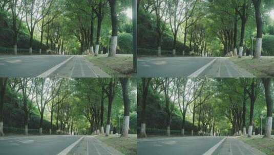 低角度马路树林摇移镜头高清在线视频素材下载