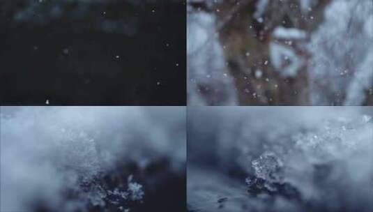 唯美浪漫特写冬天下雪雪花视频素材高清在线视频素材下载