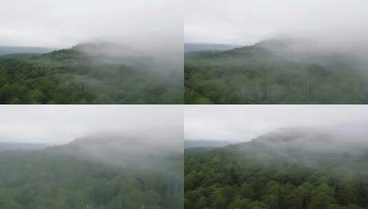 航拍森林和云雾景观高清在线视频素材下载