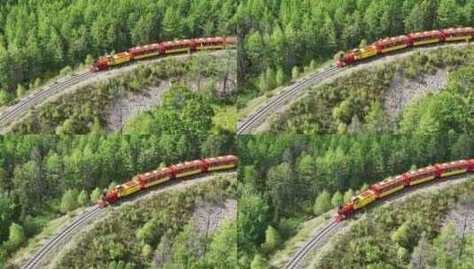 行驶在莫尔道嘎森林中的小火车高清在线视频素材下载