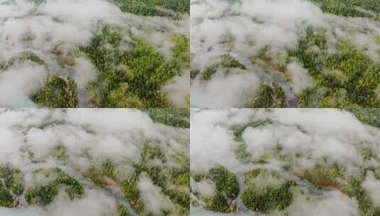 晨雾中的河流高清在线视频素材下载