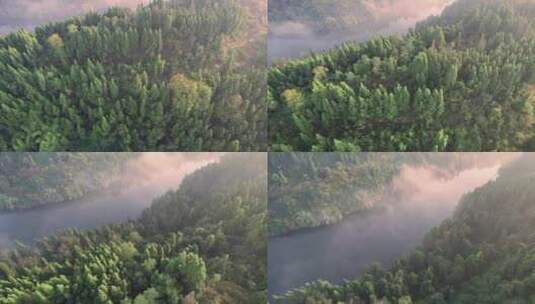 四川冬季森林航拍高清在线视频素材下载