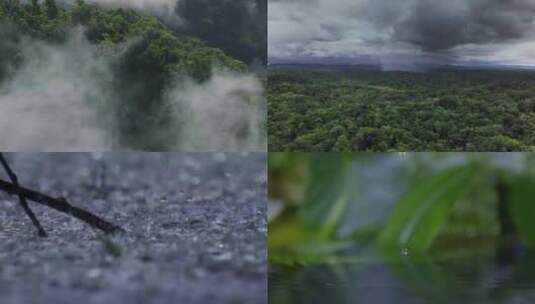 云南仙境云雾缭绕原始森林航拍旅游高清在线视频素材下载
