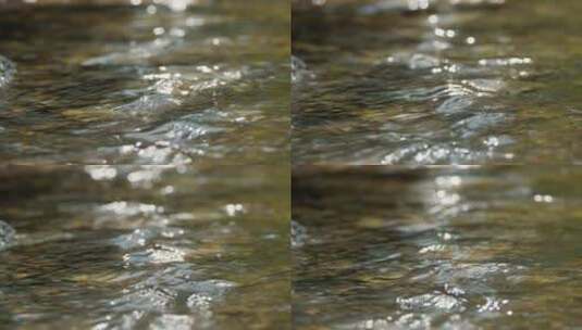 湍急山泉水流清澈小溪潺潺高清在线视频素材下载