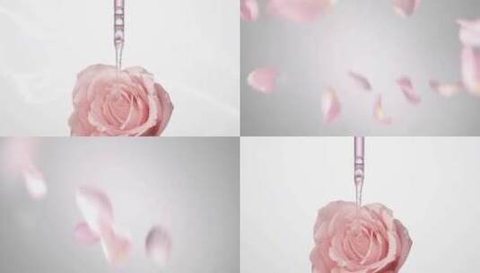玫瑰花精华萃取提取花瓣飘落高清在线视频素材下载