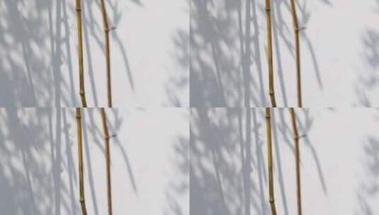 白色墙面竹子竹叶婆娑写意光影高清在线视频素材下载