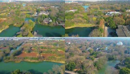 杭州西湖区西溪湿地美景风景视频素材高清在线视频素材下载