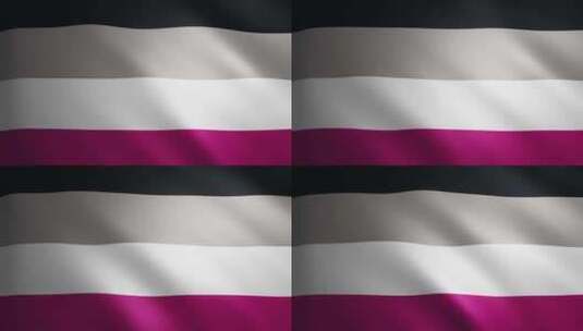 无性骄傲旗帜，具有随风移动的织物纹理。挥高清在线视频素材下载