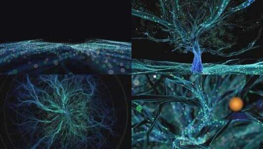 高端粒子树2024带通道视频素材高清在线视频素材下载