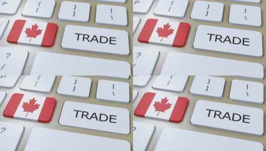 按钮3D动画上的加拿大国旗和贸易文本高清在线视频素材下载