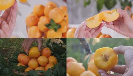 黄油桃 黄金油桃 蒙阴黄油桃高清在线视频素材下载