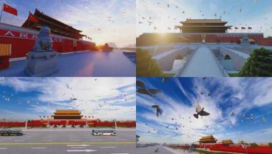 中国北京天安门广场和平鸽飞过空镜头高清在线视频素材下载