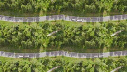 汽车在穿过绿色森林地区的双向道路上行驶高清在线视频素材下载