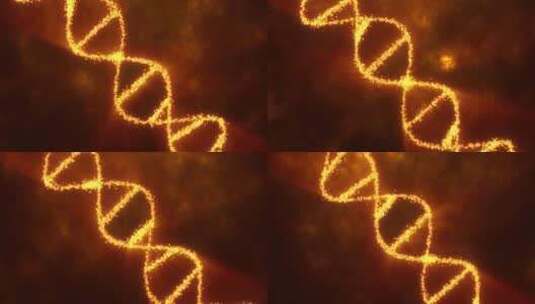 DNA螺旋结构3d模拟6高清在线视频素材下载