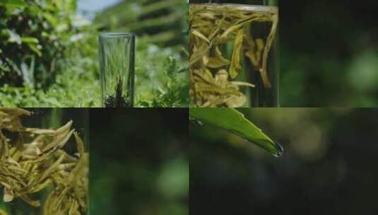 注水 沏茶 茶叶宣传片 茶叶高清在线视频素材下载