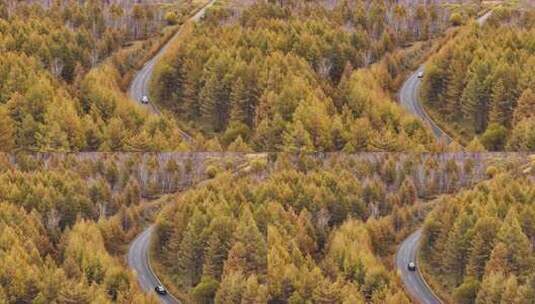 快进X10 航拍大兴安岭金色秋天高清在线视频素材下载