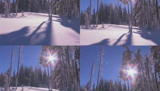 太阳照耀在树上影子映在雪地里高清在线视频素材下载