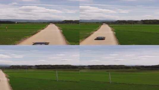 竖版航拍乡村公路绿油油的稻田高清在线视频素材下载