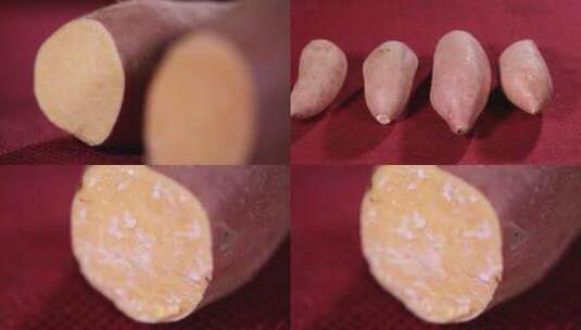 【镜头合集】优质红薯淀粉制作高清在线视频素材下载