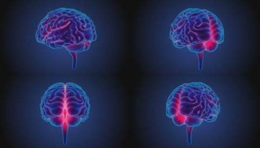 医学 大脑 脑科学 三维 脑ct1 模型高清在线视频素材下载
