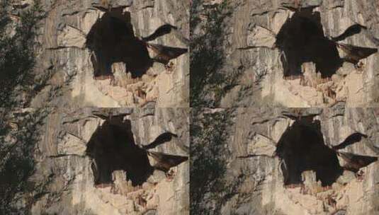 万寿岩遗址灵峰洞旧石器时代早期高清在线视频素材下载