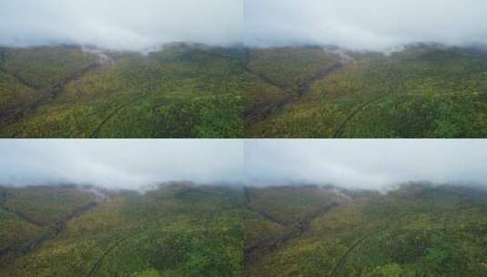 航拍大兴安岭秋季原始森林雨雾高清在线视频素材下载