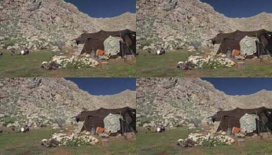 山顶上的游牧民族和帐篷高清在线视频素材下载