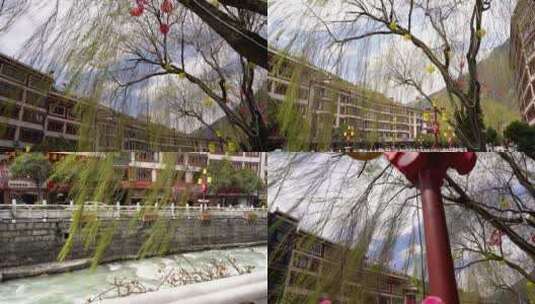 4K实拍康定城市垂柳素材高清在线视频素材下载