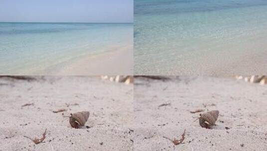 夏日沙滩清澈海水寄居蟹高清在线视频素材下载