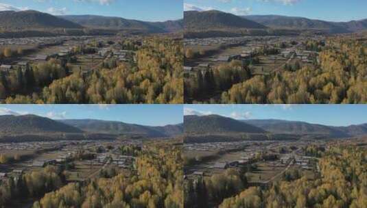 新疆禾木乡村建筑秋天的自然风光高清在线视频素材下载