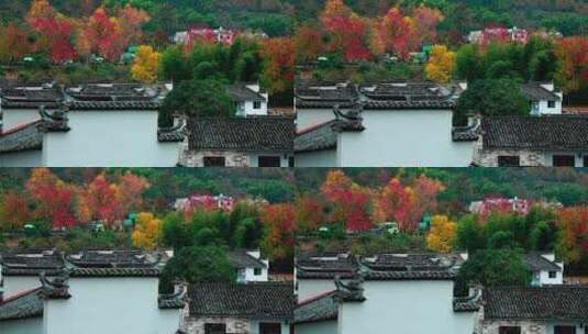 徽州古村的秋天高清在线视频素材下载