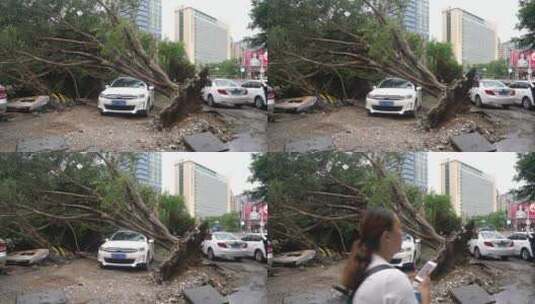 山竹 台风 台风山竹 中国沿海 沿海城市高清在线视频素材下载