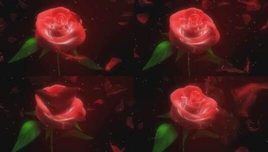 玫瑰花旋转高清在线视频素材下载
