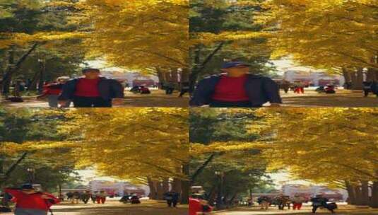 4K实拍北京秋天地坛银杏大道树林和游人竖屏高清在线视频素材下载