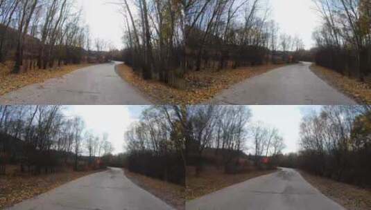秋天 森林 落叶 行驶高清在线视频素材下载