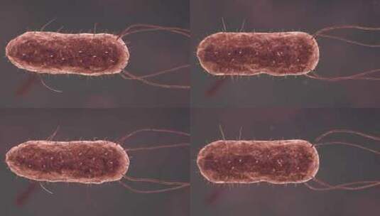 医疗病菌病毒细菌分子病原体生物三维动画高清在线视频素材下载