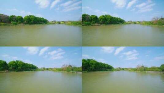 广州海珠国家湿地公园湖泊游船自然风光高清在线视频素材下载