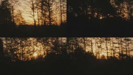 开车路过日落时夕阳森林高清在线视频素材下载