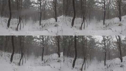 4k大自然冬天下雪的树林树木高清在线视频素材下载