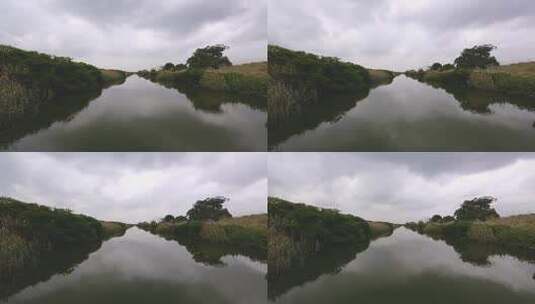 l1湿地延时风景高清在线视频素材下载